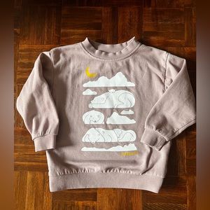 Patagonia Toddler Lightweight Crew Sweatshirt (4T)